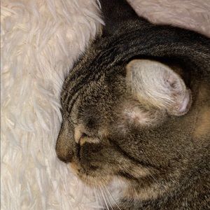 Meet your Posher, Marilyn